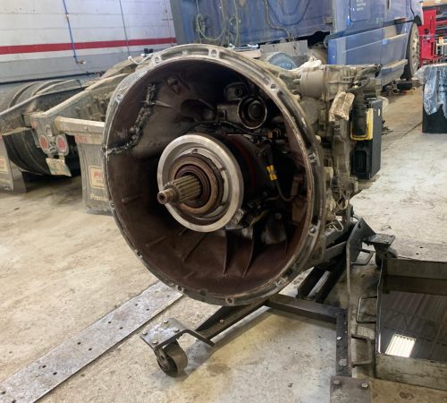 WhatsApp Image 2025-11-29 at 08.51.31_568da0d2