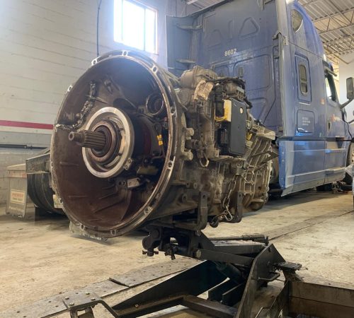 WhatsApp Image 2025-11-29 at 08.52.08_9f29f509